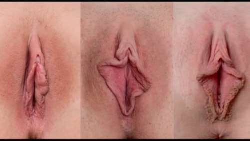 Фото женских ВАГИН. МНОГО!