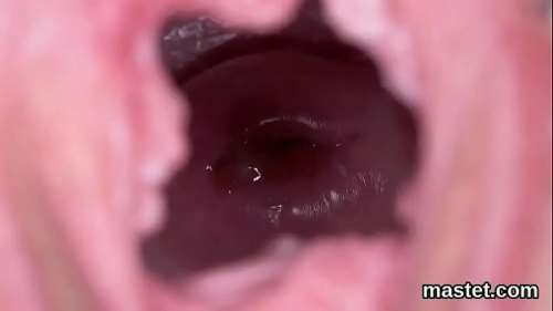 Женская матка. Видео крупным планом